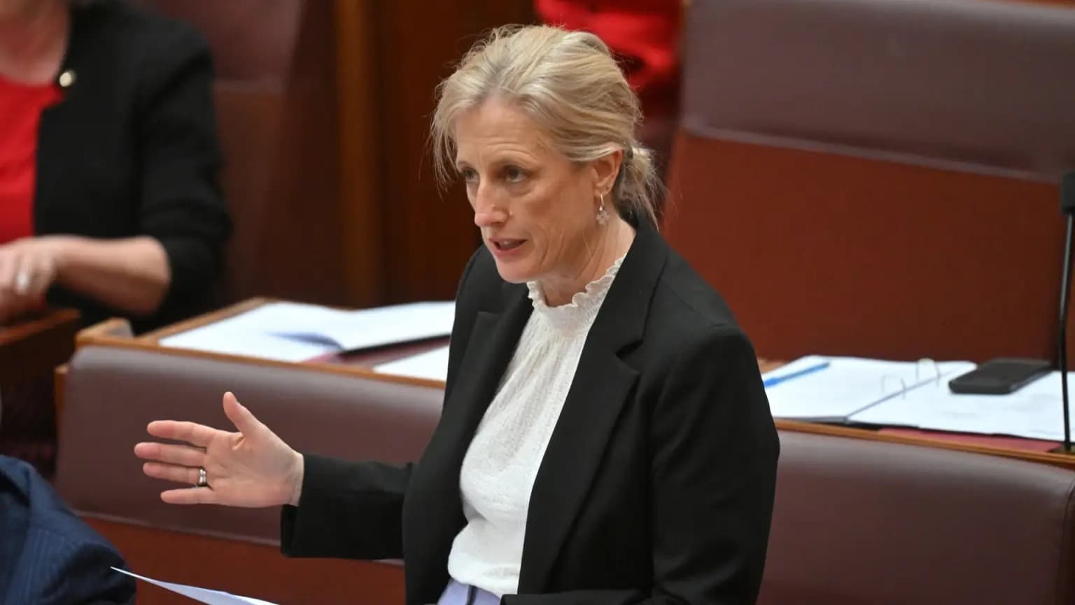 An Australian government minister speaking in the Senate chamber